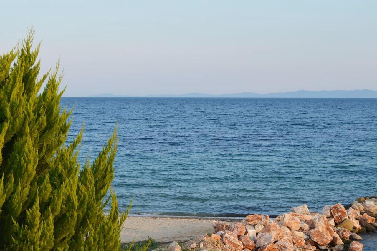 Lemon Beach Front Apartment, Nikiti Kültér fotó